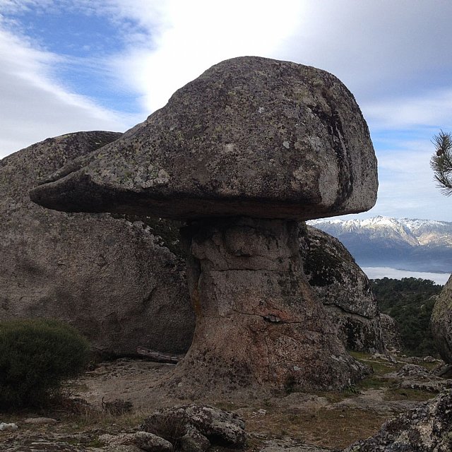 Ruta al “Canto de la Seta”