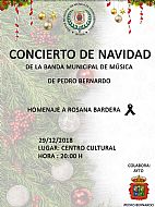 Concierto de Navidad