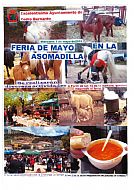 Feria de Mayo en la Asomadilla 2019